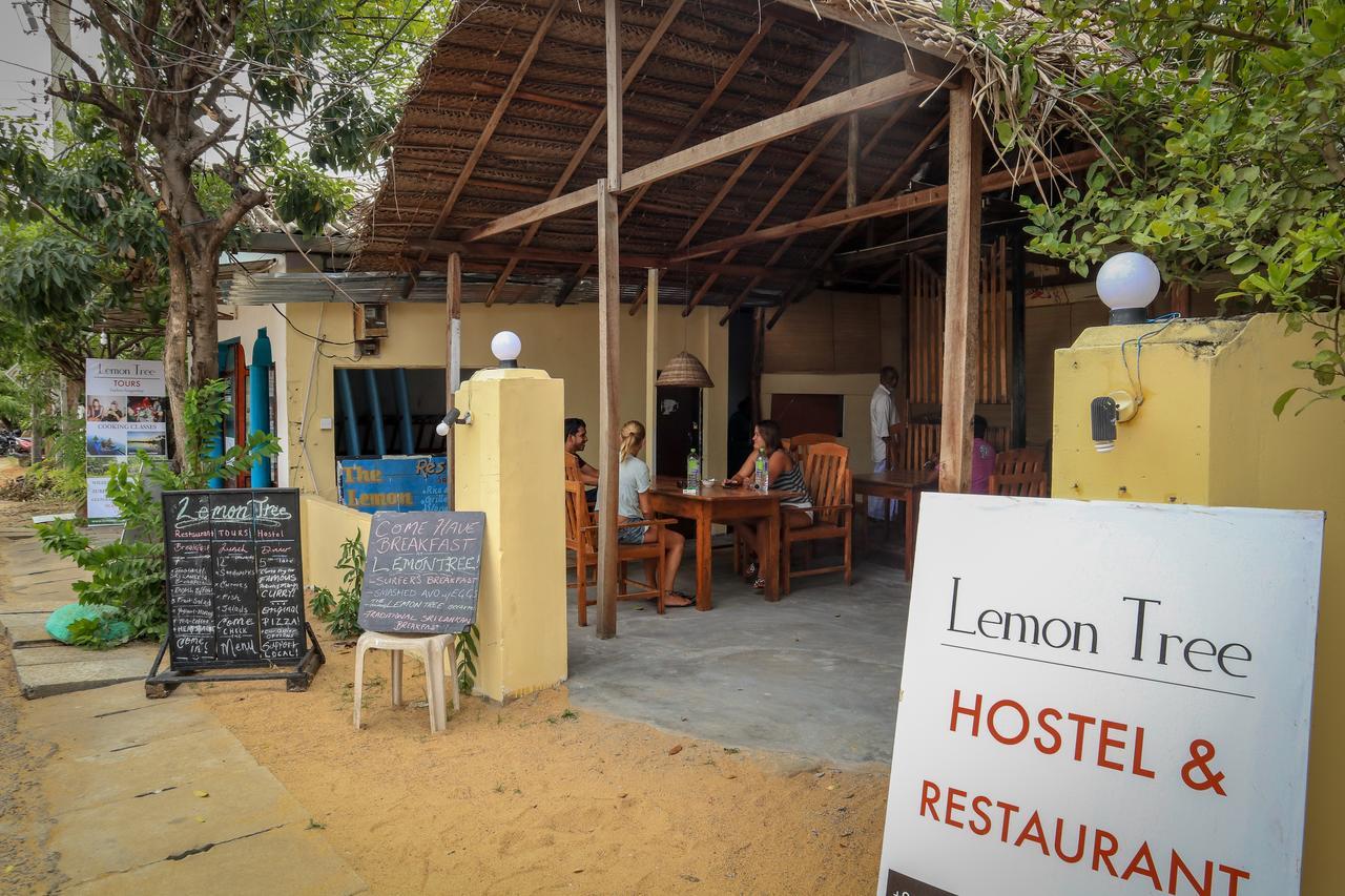 Lemon Tree Hostel アルガムベイ エクステリア 写真
