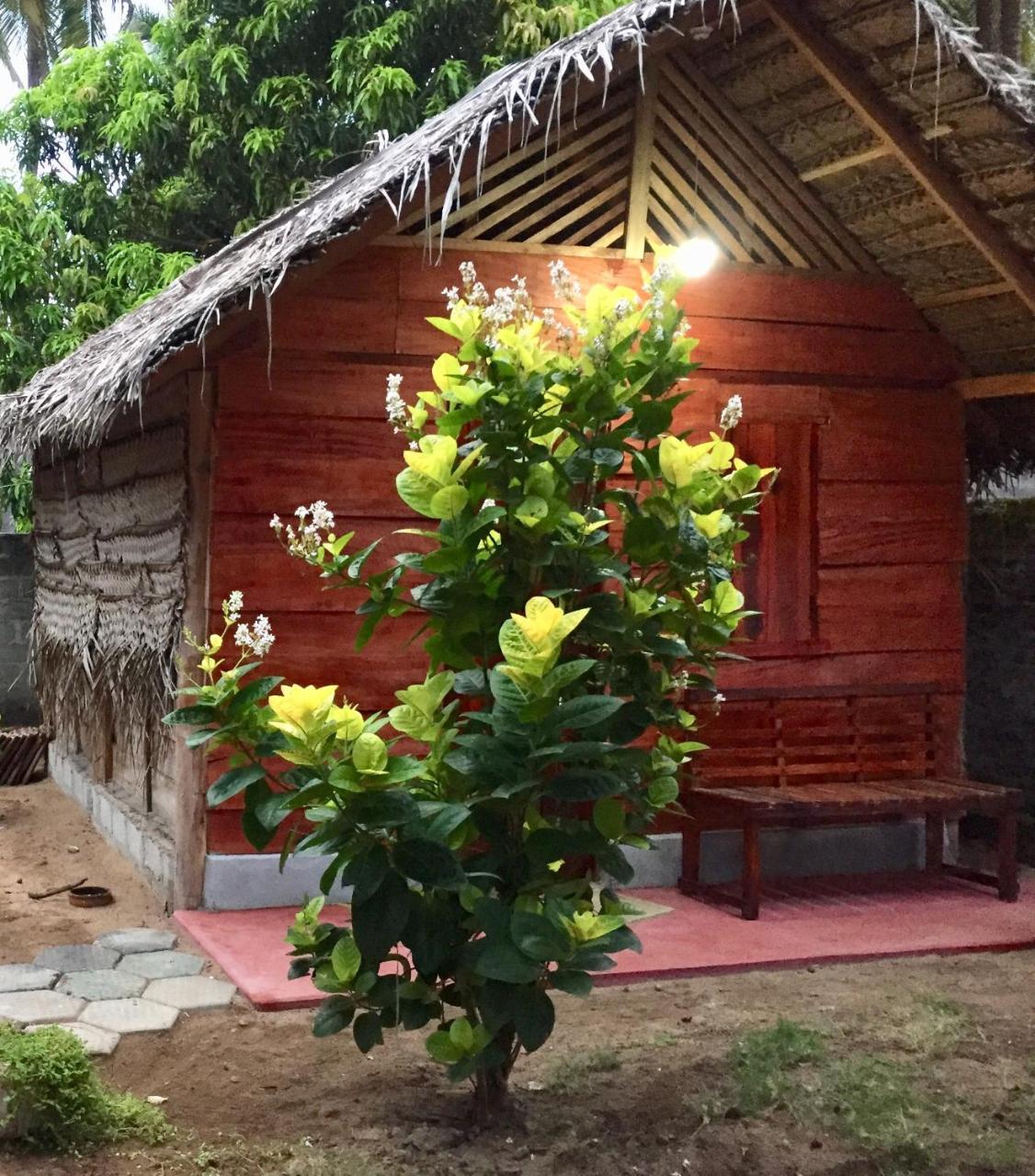 Lemon Tree Hostel アルガムベイ エクステリア 写真