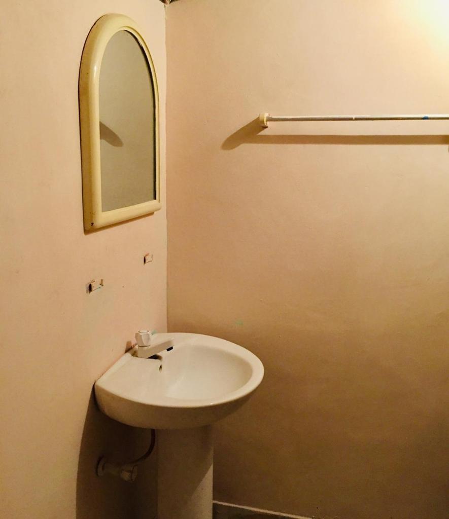 Lemon Tree Hostel アルガムベイ エクステリア 写真
